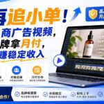 （19968期）别再追小单！学做电商广告视频，对接品牌拿月付，轻松躺賺稳定收入【原创双语字幕】-网创在线