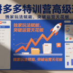 拼多多特训营高阶班，独家玩法赋能，突破运营天花板（更新260819）-网创在线