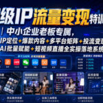 超级IP流量变现特训营｜中小企业老板专属，IP定位+爆款内容+多平台矩阵+投流变现+AI批量赋能+短视频直播全实操落地系统课-网创在线