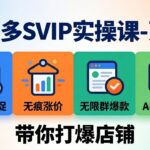 （19626期）拼多多SVIP实操课-26年7月，截流卡大促+无痕涨价+无限群爆款+AI赋能爆单新玩法，带你打爆店铺-网创在线