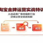 淘宝金牌运营实战特训：从选品推广落地爆款打造，店铺运营全链路拆解-网创在线