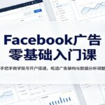 Facebook广告零基础入门课：手把手教学账号开户搭建，吃透广告架构与数据分析调整-网创在线
