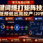 老火电商04期：【关键词爆打矩阵技术】低预低出高投产（20节）-网创在线