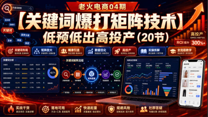 老火电商04期:【关键词爆打矩阵技术】低预低出高投产(20节)-网创在线