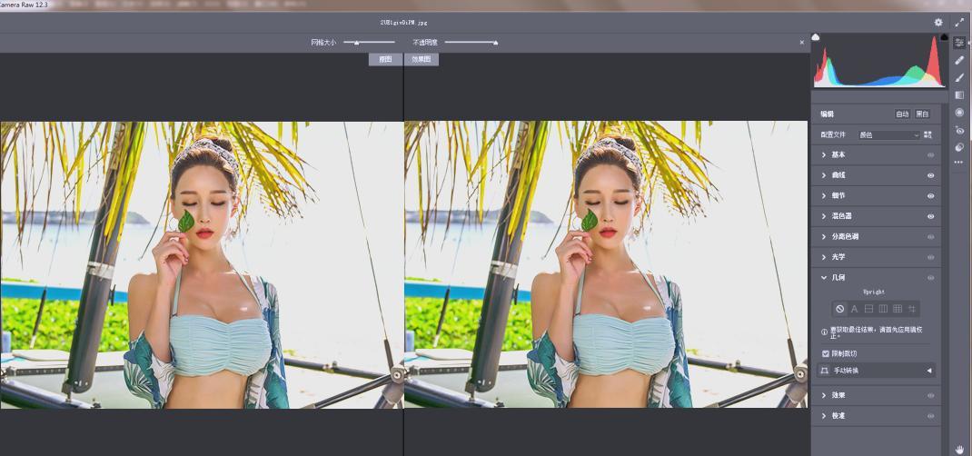 RAW处理Adobe Camera Raw v18.6.0中文版 RAW处理Adobe Camera Raw v18.6.0中文版