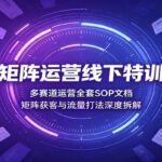 流量矩阵运营线下特训实录：多赛道运营全套SOP文档，矩阵获客与流量打法深度拆解-网创在线