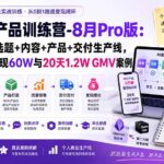 AI虚拟产品训练营-8月Pro版：Skills搭建选题+内容+产品+交付生产线，拆解3W单变现60W与20天1.2W GMV案例-网创在线