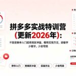 （19724期）拼多多实战特训营(更新2026年)：不管是新手入门或老商家冲量，都有实操方法，跟着学，少走弯路-网创在线