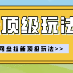 零门槛轻资产创业，一部手机就能做的网盘拉新“神级赛道”玩法，简单粗暴月入10000+-网创在线