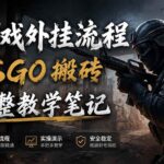（19719期）游戏挂机全流程笔记分享，CSGO游戏搬砖，小白看了当天学会见收益-网创在线