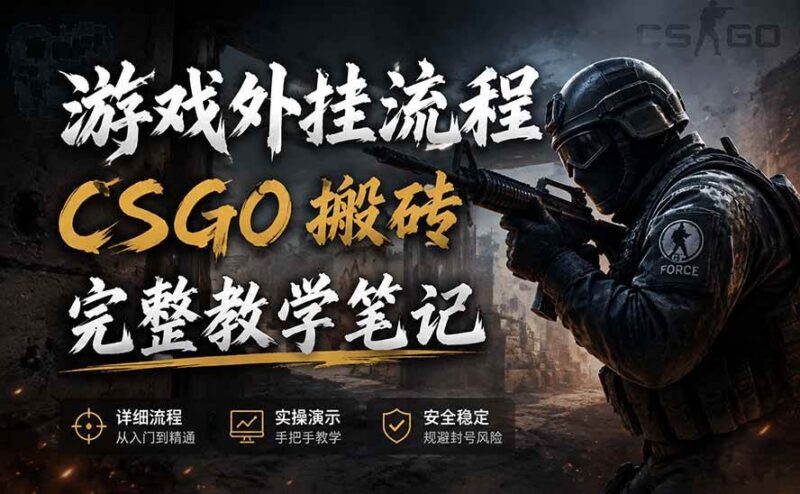 （19719期）游戏挂机全流程笔记分享，CSGO游戏搬砖，小白看了当天学会见收益