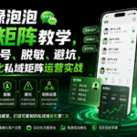 私域绿泡泡微信矩阵教学，基建、热号、脱敏、避坑，聚焦规模化私域矩阵运营实战-网创在线