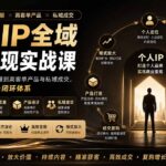个人IP全域商业变现实战课 (无水印-网创在线