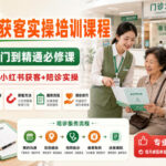 陪诊师获客实操培训课程，陪诊师从入门到精通必修课，资深陪诊师教你小红书获客+陪诊实操-网创在线