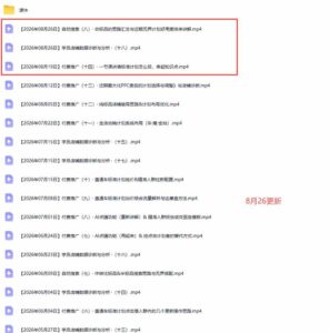 (20094期)2026淘宝电商终局之战VIP课-更新:自然搜索+直通车+无界+精准人群,系统掌握测款动销与全店推广布局方法-网创在线