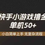 （19594期）快手小游戏撸金 单机日赚 50，零基础可做，支持单人矩阵放大-网创在线