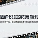 影视解说独家剪辑框架：掌握高效剪辑手法，搭配精选剧集素材快速制作解说短视频-网创在线