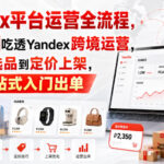 Yandex平台运营全流程，零基础吃透Yandex跨境运营，从开店选品到定价上架，新手一站式入门出单-网创在线