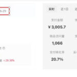 8月AI小红书虚拟电商Pro训练营，手把手带你从0到1跑通虚拟电商全流程，给普通人的最短商业变现路径-网创在线