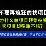 找项目？别傻了！卖项目才是真的一本万利！看完你全都懂了【揭秘】-网创在线