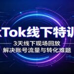 TikTok线下特训营：3天线下现场回放，解决账号流量与转化难题-网创在线