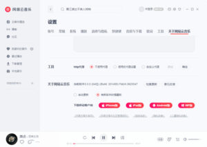 网易云音乐v3.1.38.205386绿色版-网创在线