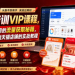 淘宝培训VIP课程，各种经典有用的流量获取秘籍，从淘宝新店到天猫店铺的实战教程（更新08月20日）-网创在线