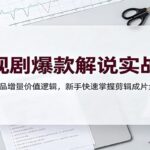 电视剧爆款解说实战课：解析作品增量价值逻辑，新手快速掌握剪辑成片全流程-网创在线