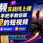 短视频实战线上课，从0到1手把手教你做能变现的短视频，零基础可学，落地起号做爆款-网创在线