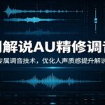 二创解说AU精修调音课：圈内内部专属调音技术，优化人声质感提升解说作品音质-网创在线