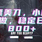 （20163期）白嫖美刀，小白也能做，稳定日入800+-网创在线