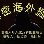 （19841期）解密海外掘U，普通人月入过万的副业项目，低投入、低风险高回报，没有之一-网创在线