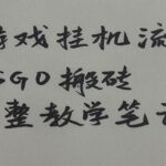 游戏挂机全流程笔记分享，CSGO游戏搬砖，小白看了当天学会见收益-网创在线