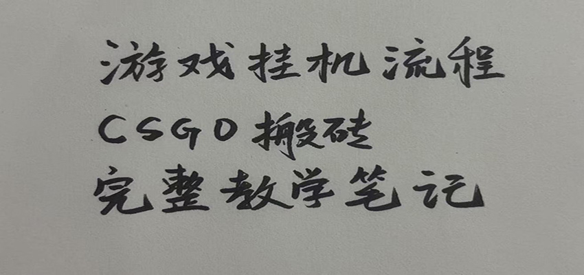 图片[1]-游戏挂机全流程笔记分享，CSGO游戏搬砖，小白看了当天学会见收益