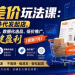 淘差价玩法课：合规一件代发起店，1688拿货、数据化选品、低价推广，新手稳健盈利(更新8月-网创在线