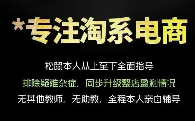 松鼠会电商VIP课程，从基础布局到高阶优化，助你掌握淘宝运营逻辑，提升店铺流量与转化(更新0815)-网创在线