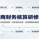 电商财务核算研修课：抖音平台账务逻辑，应收售后投流，全套数据处理实操教学-网创在线