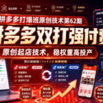 拼多多打爆班原创技术第62期，拼多多双打强付费，原创起店技术，稳权重高投产-网创在线