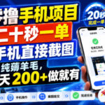 零撸手机项目，二十秒一单，手机直接截图，纯薅羊毛，一天200+做就有【揭秘】-网创在线