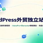 WordPress外贸独立站全阶：域名服务器搭建，AstraPro+Elementor模板建站与询盘询盘SEO-网创在线