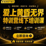爱上黄昏无界特训营AI推广实战7月27-30杭州线下课，AI落地淘宝最完整的课程，学天猫淘宝的老板必看-网创在线
