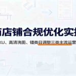 电商店铺合规优化实操课：详解洗SKU、高清洗图、错类目调整三类主流运营实操技巧-网创在线