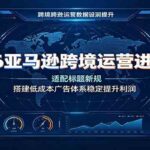 2026亚马逊跨境运营进阶课：适配标题新规，搭建低成本广告体系稳定提升利润-网创在线