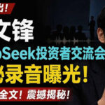 全文流出梁文锋DeepSeek投资者交流会神秘录音曝光，感兴趣的抓紧看【PDF文档】-网创在线