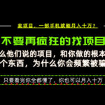 为什么做项目的人大多都是炮灰？为什么只有卖项目才能稳？看完你也可以月入10W+【揭秘】-网创在线