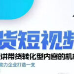 kk老师众星引力带货短视频线下课2026年，带货短视频实战全流程-网创在线