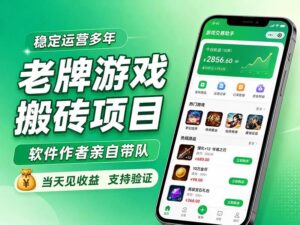 （20100期）老牌游戏搬砖项目，超稳定可靠，软件作者亲自带队，当天见收益，支持验证-网创在线