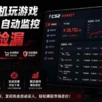 （19555期）系统AI自动监控市场捡漏，不用玩游戏|只需要一部手机|支持任何形式数据验证-网创在线