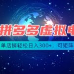 最长久稳定的项目——拼多多虚拟电商，矩阵可日入1000+，最适合普通人的项目-网创在线