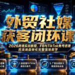 外贸社媒获客闭环课｜2026跨境实战教程，FB与TikTok账号搭建投流询盘转化完整落地教学-网创在线